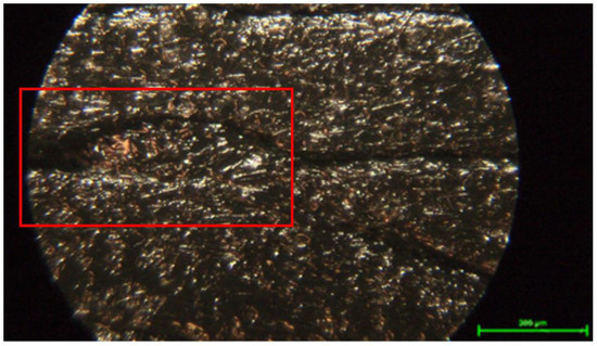 Processes 12 00334 g022