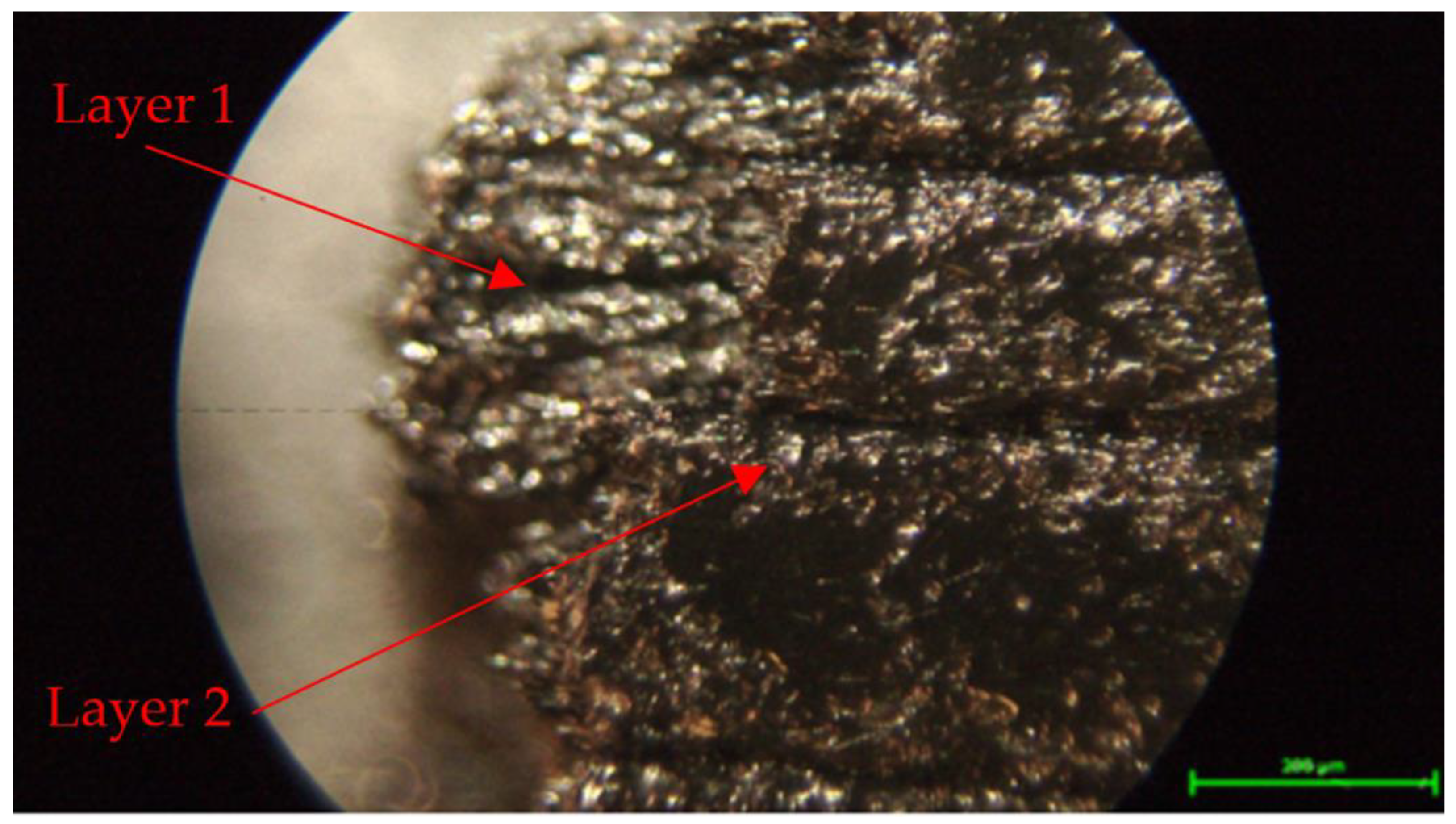 Processes 12 00334 g037