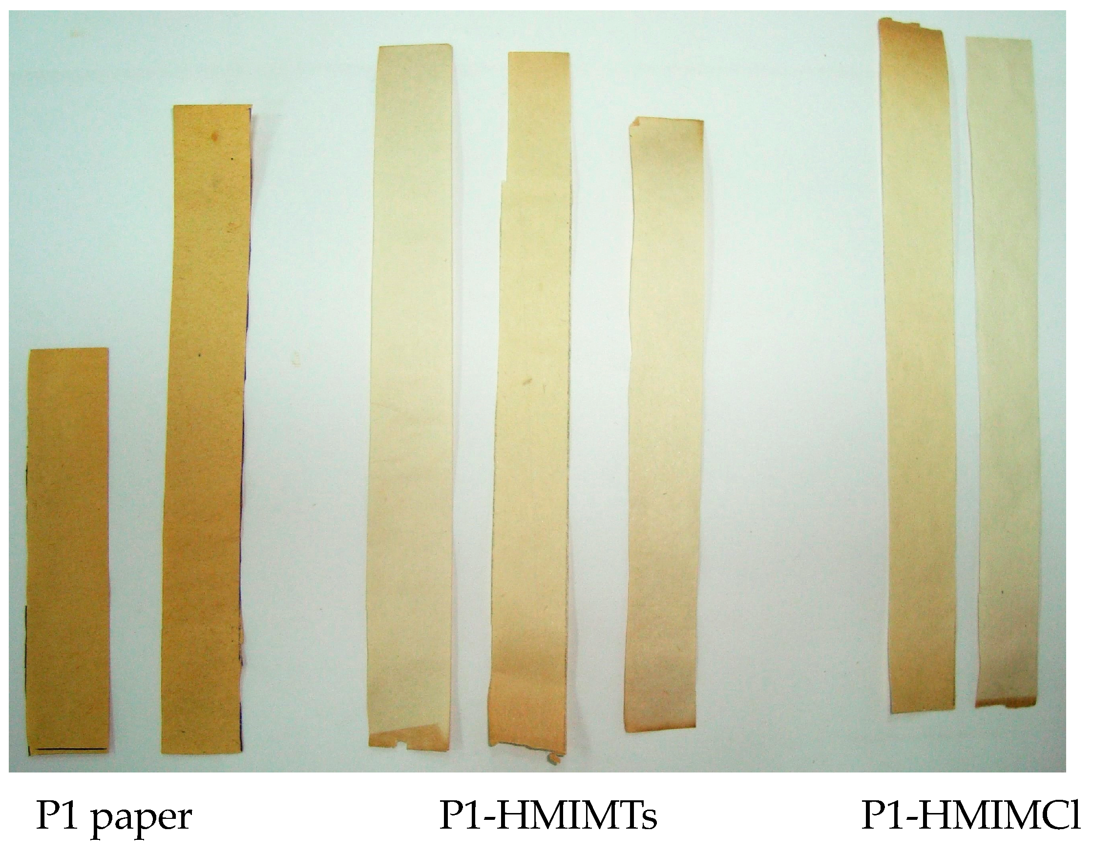 Processes 12 00341 g001