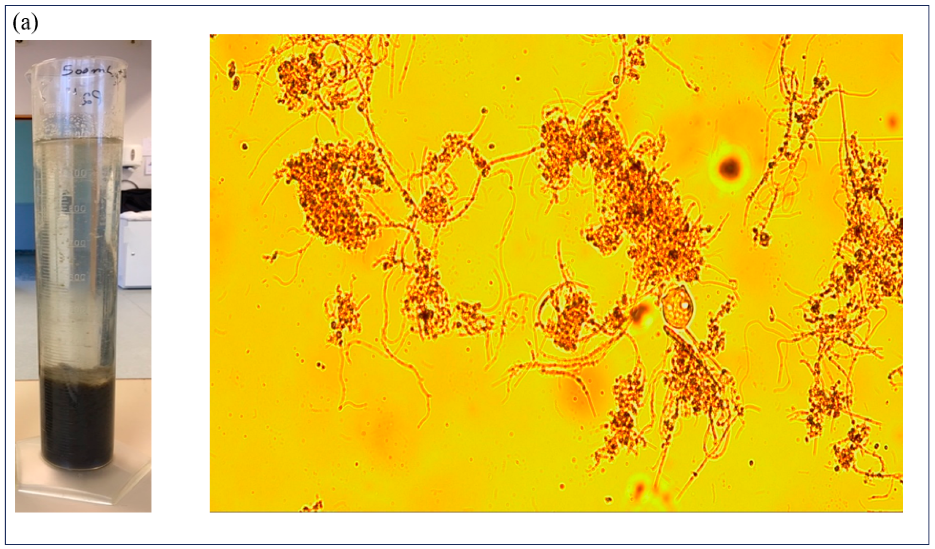 Processes 12 00350 g003a