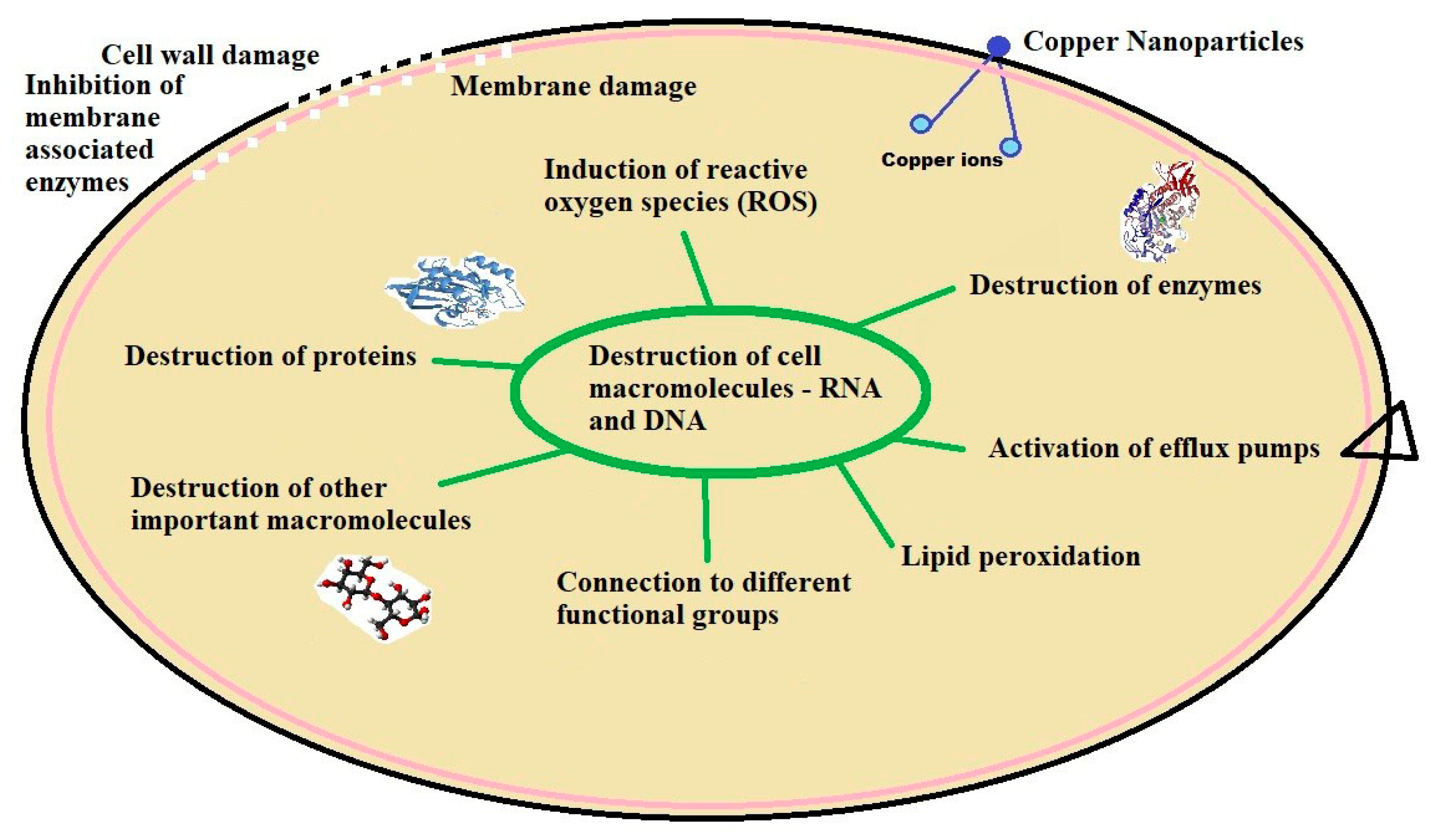 Processes 12 00352 g001