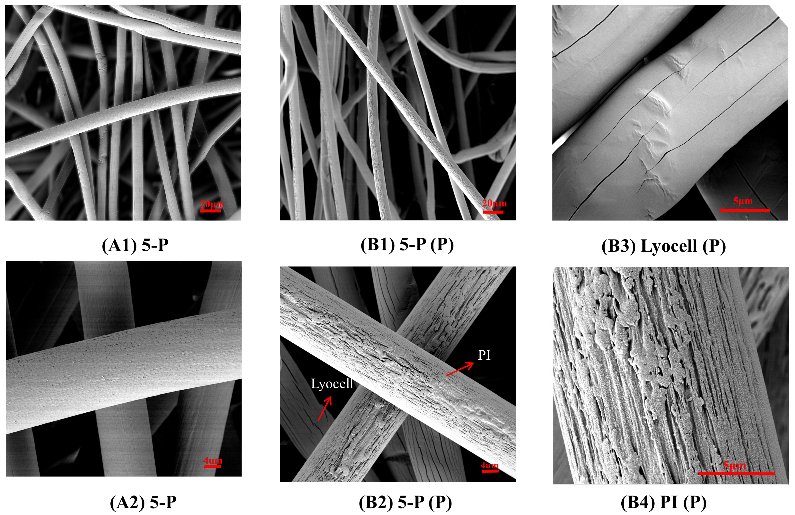 Processes 12 00354 g004 Processes 12 00354 g004