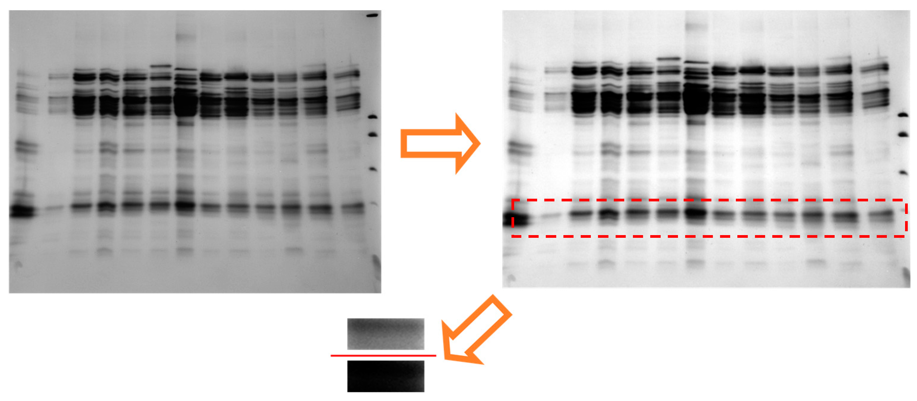 Processes 12 00398 g001