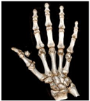 Processes 12 00406 i015