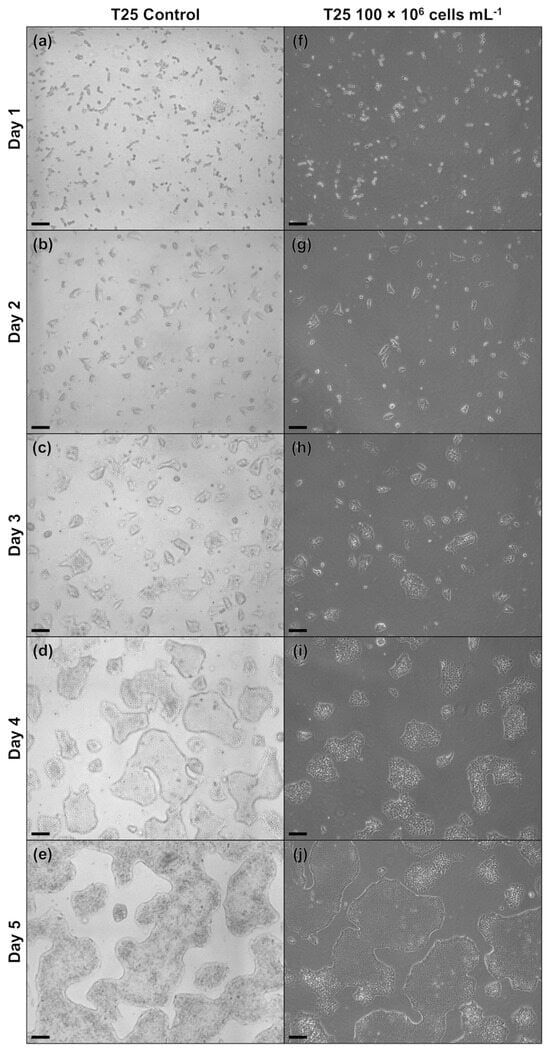 Processes 12 00426 g0a1