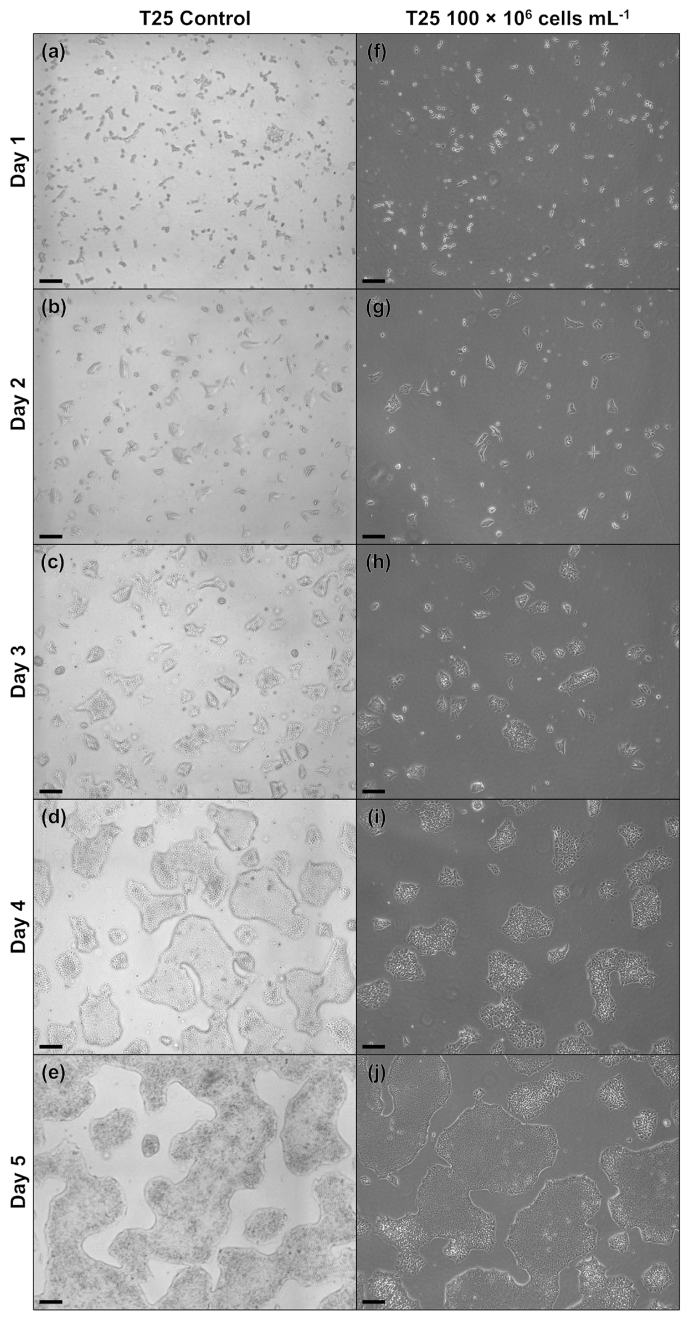 Processes 12 00426 g0a1