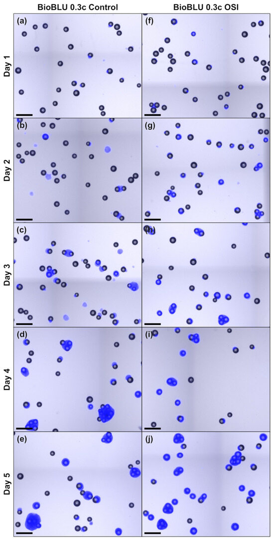 Processes 12 00426 g0a3