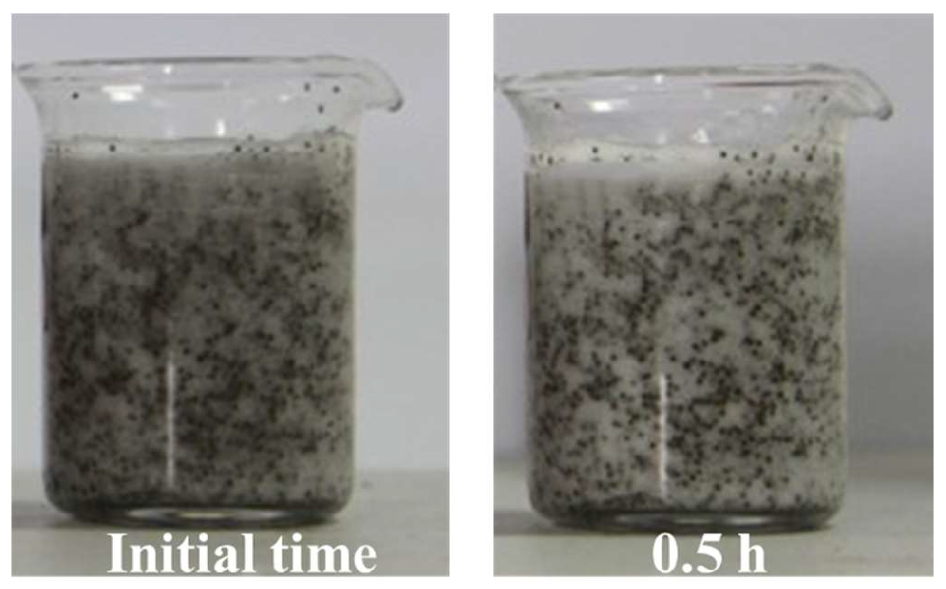 Processes 12 00447 g010