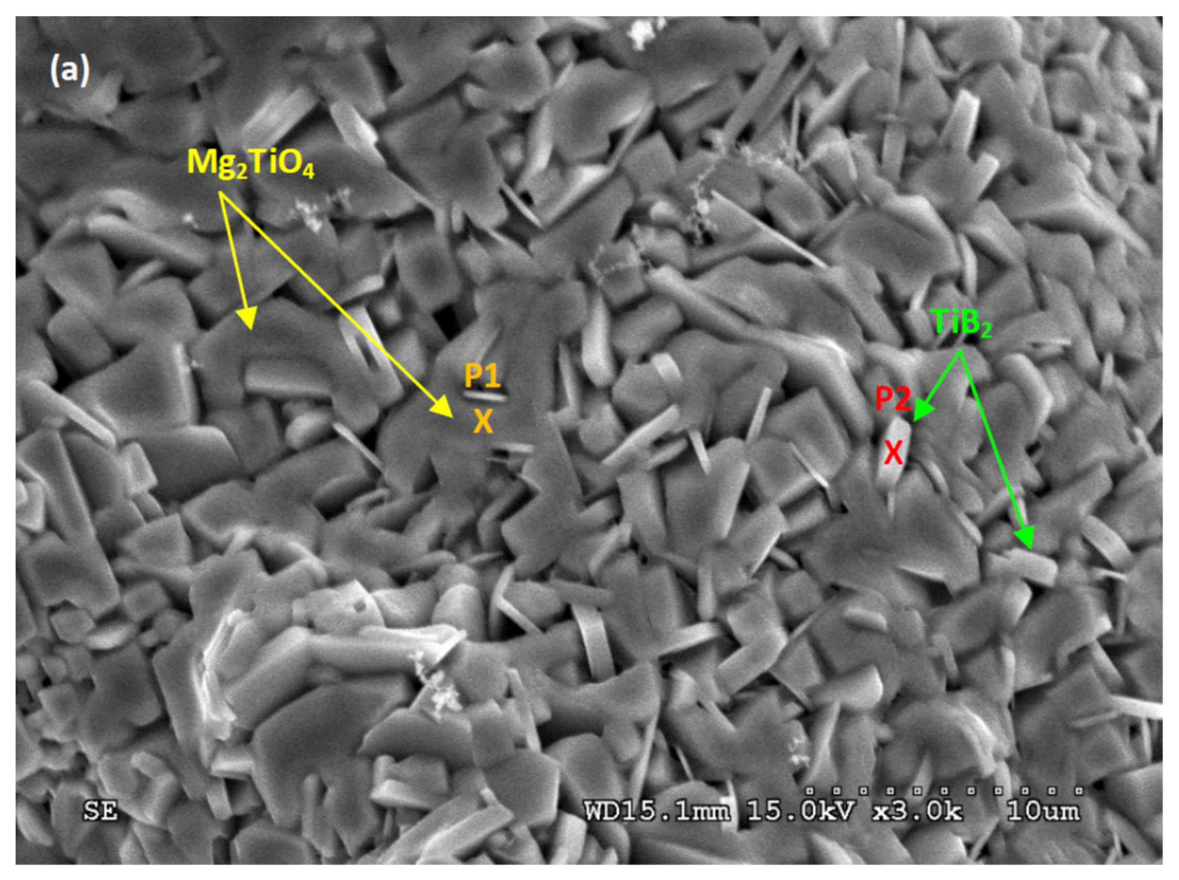 Processes 12 00459 g008a