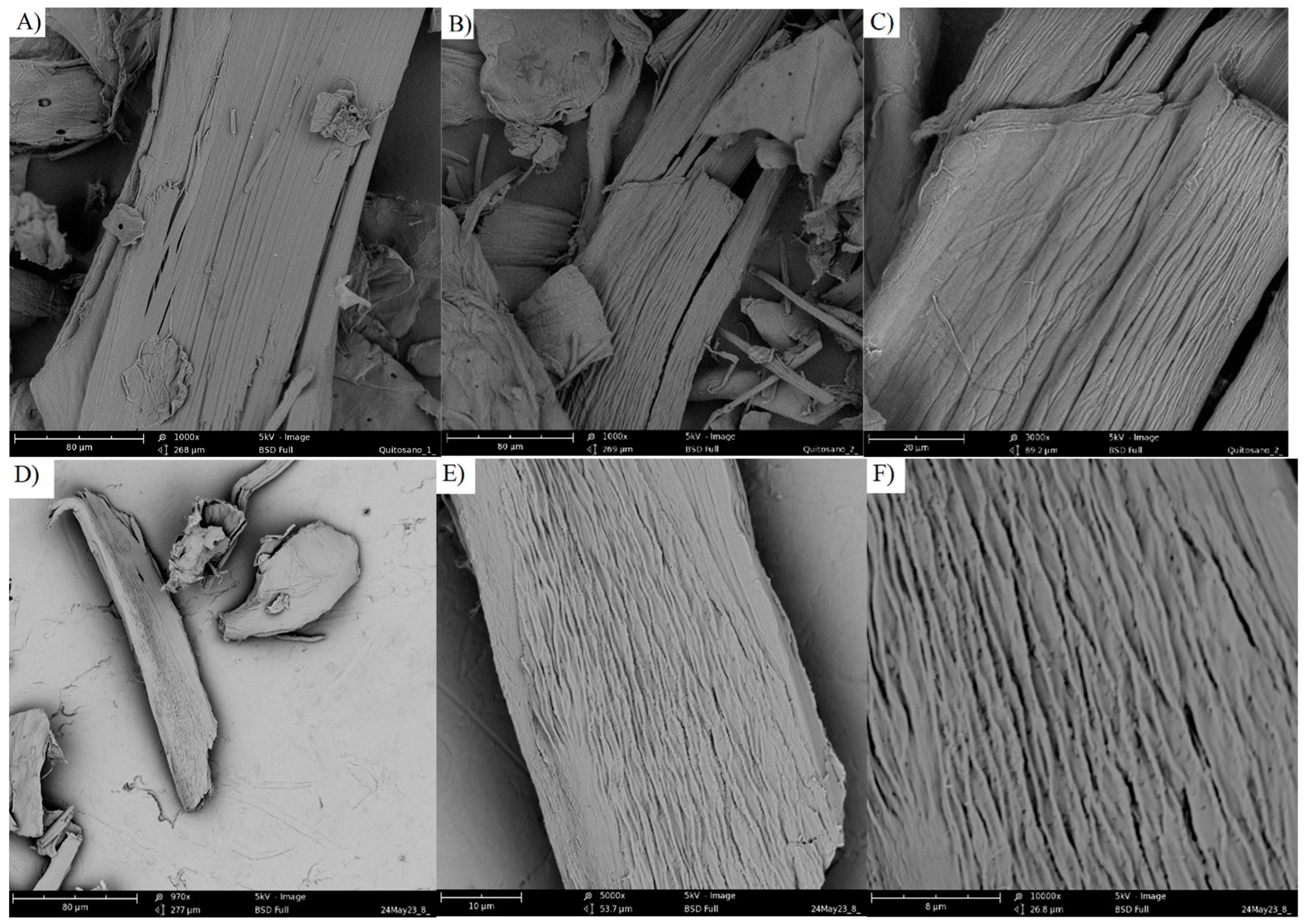 Processes 12 00464 g005