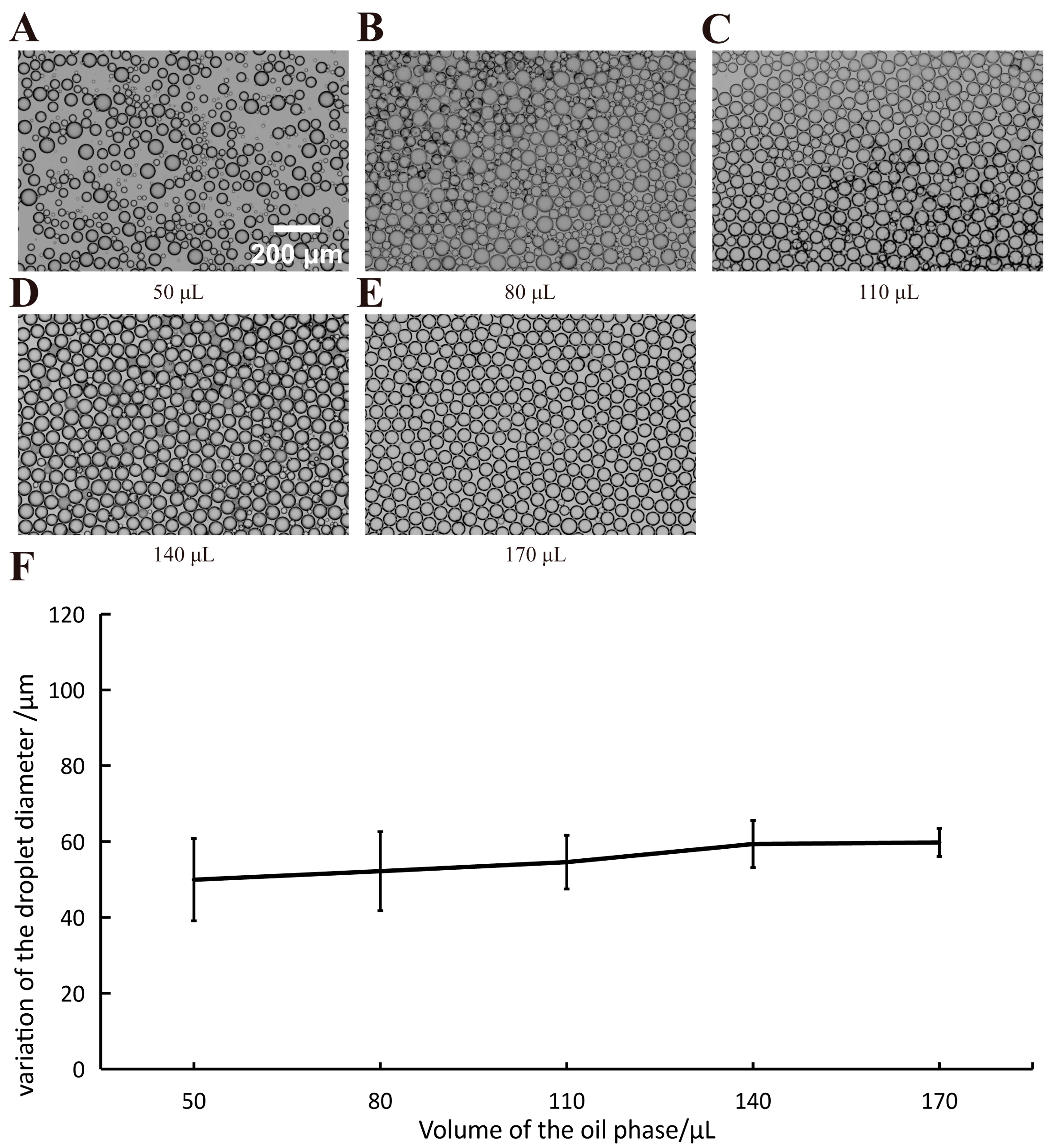 Processes 12 00483 g006