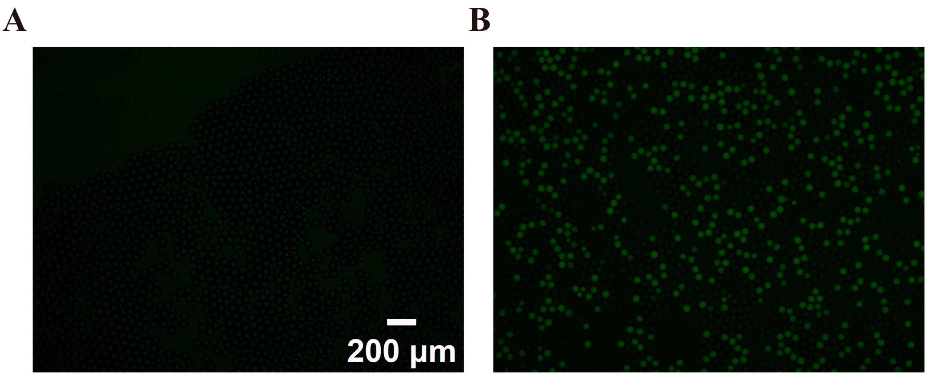 Processes 12 00483 g008