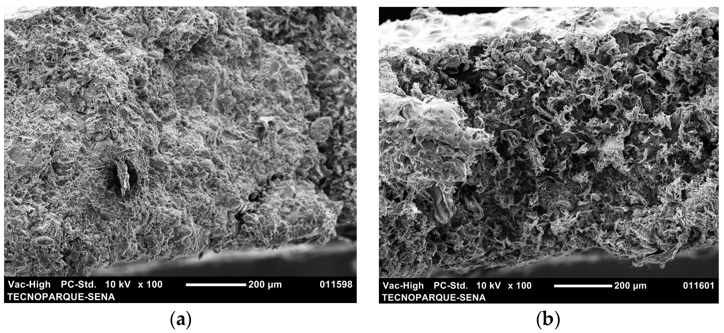 Processes 12 00524 g010