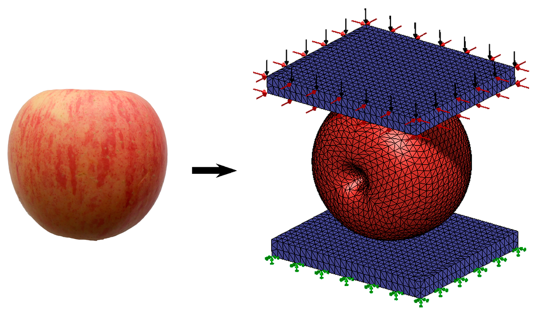 Processes 12 00543 g004 Processes 12 00543 g004