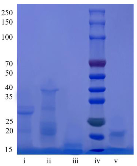 Processes 12 00624 g0a2