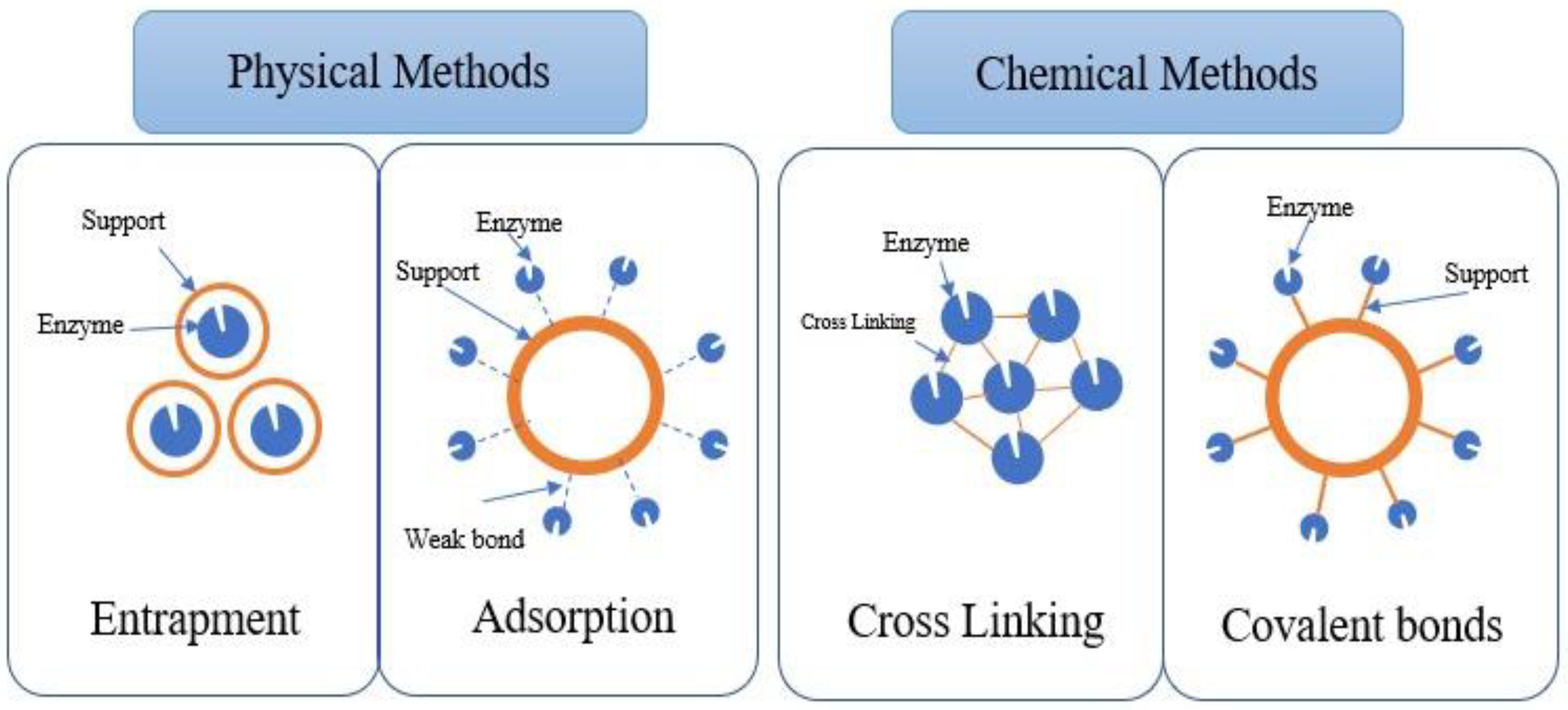 Processes 12 00634 g002