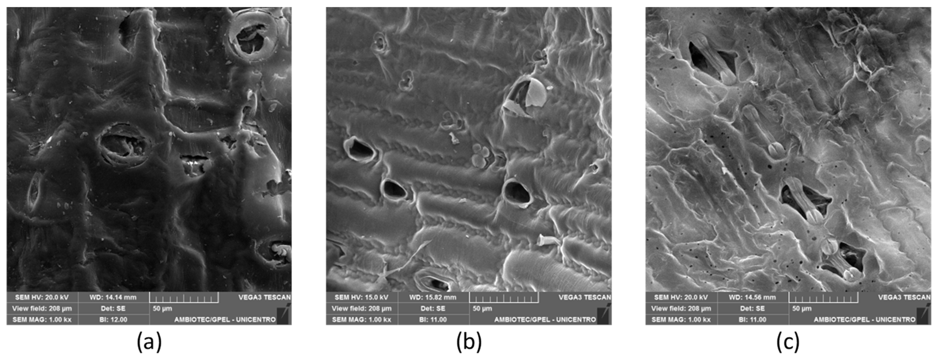 Processes 12 00694 g002