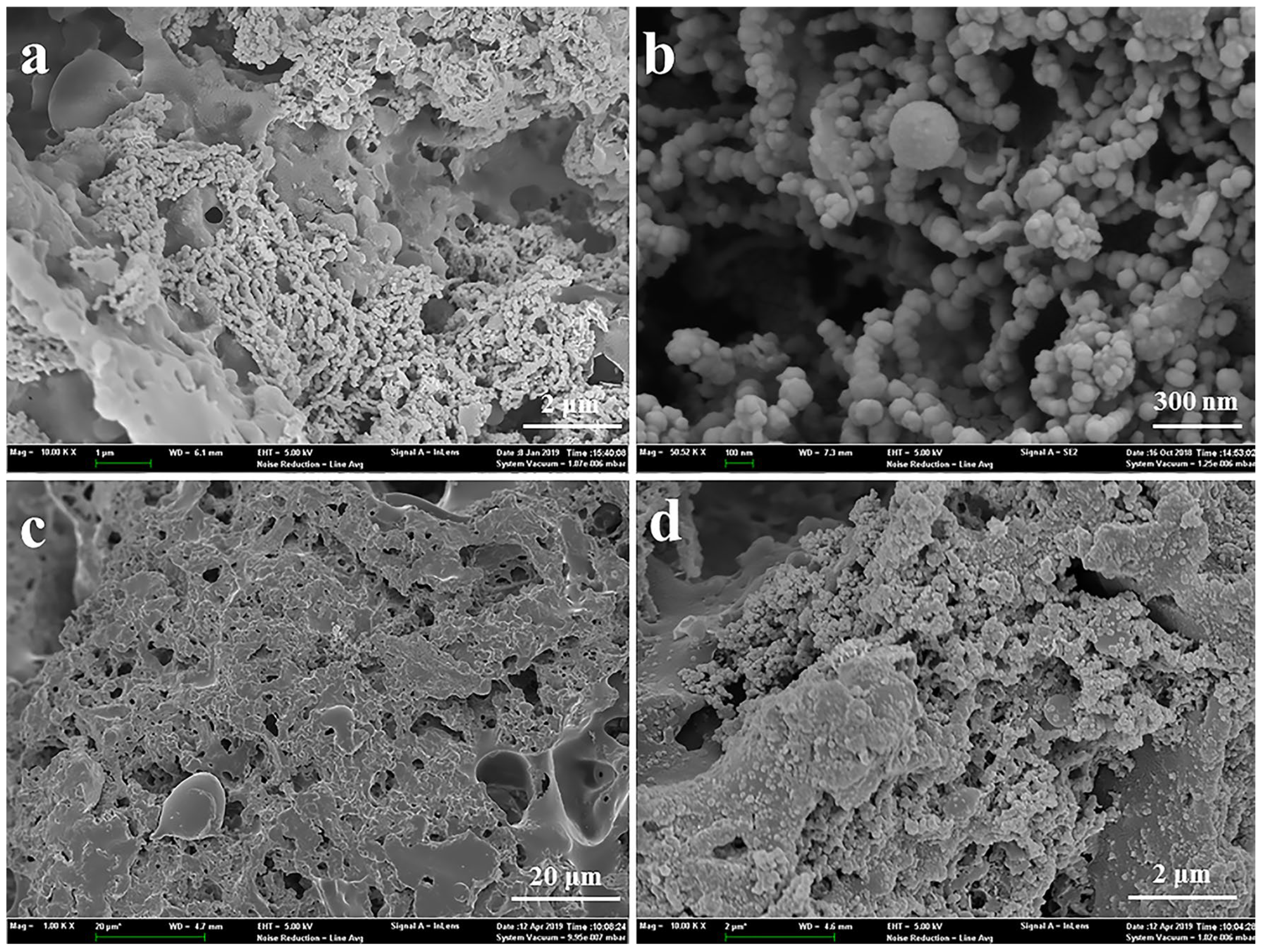 Processes 12 00697 g003