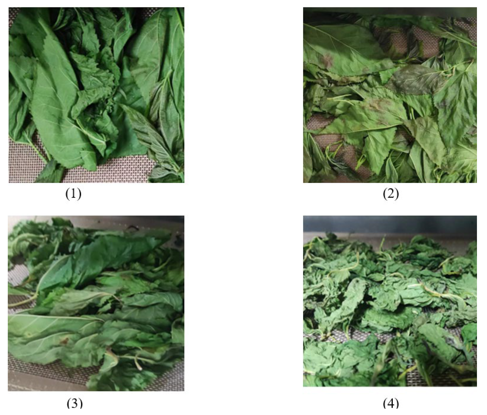 Processes 12 00701 g015