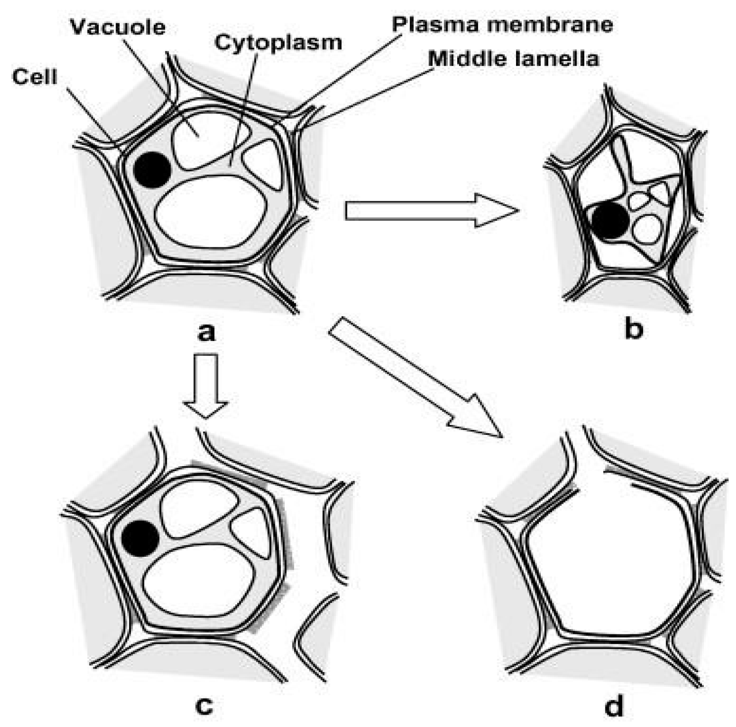 Processes 12 00720 g001