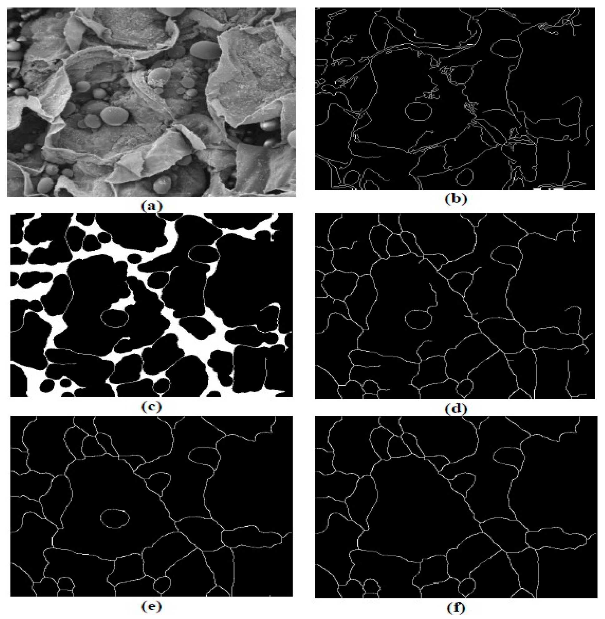 Processes 12 00720 g002