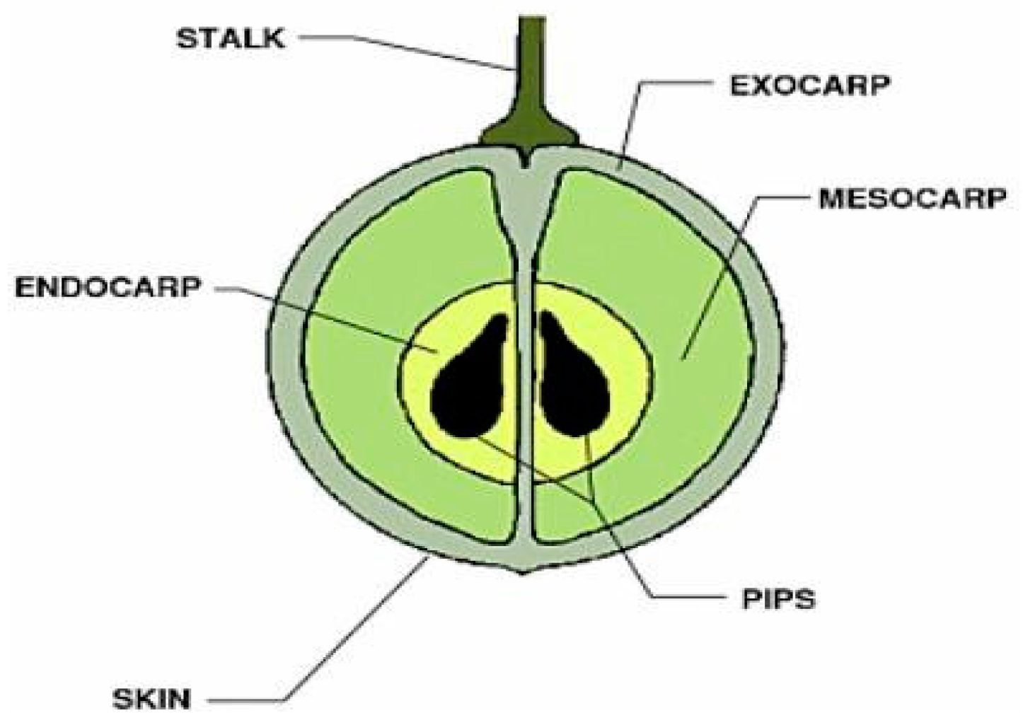 Processes 12 00720 g004