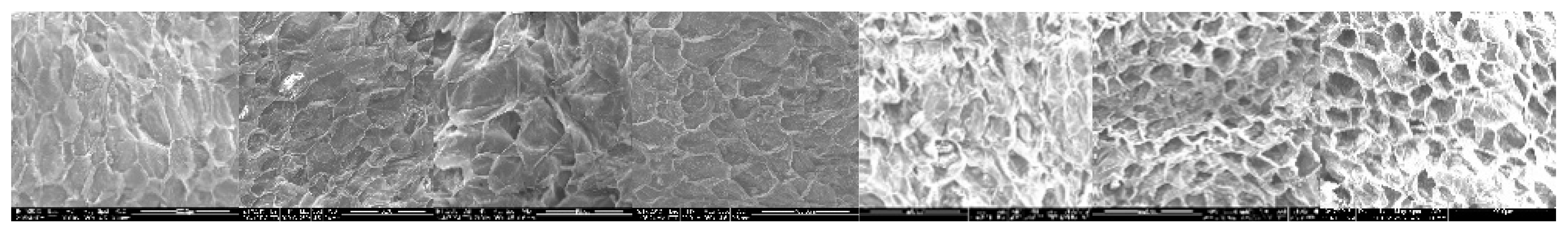 Processes 12 00720 g008