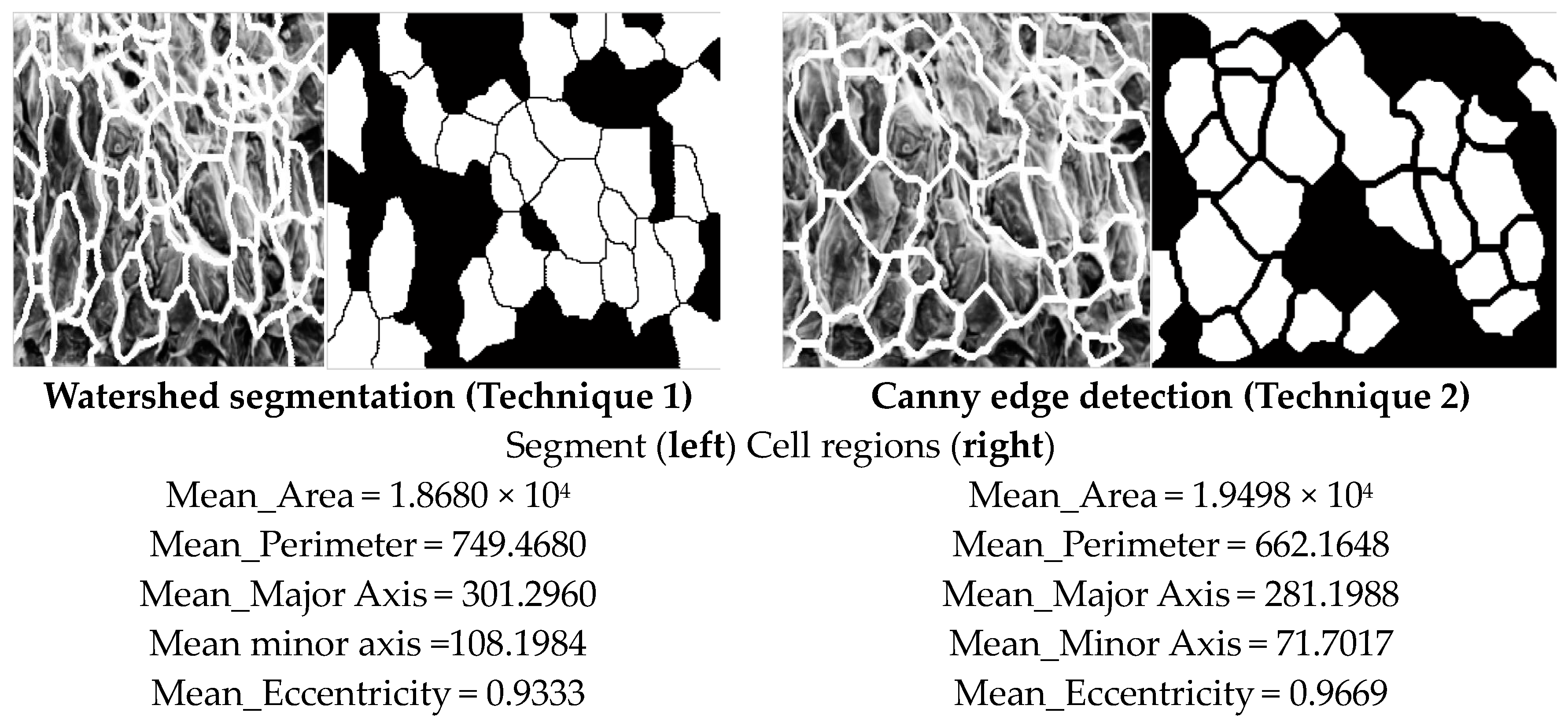 Processes 12 00720 g011