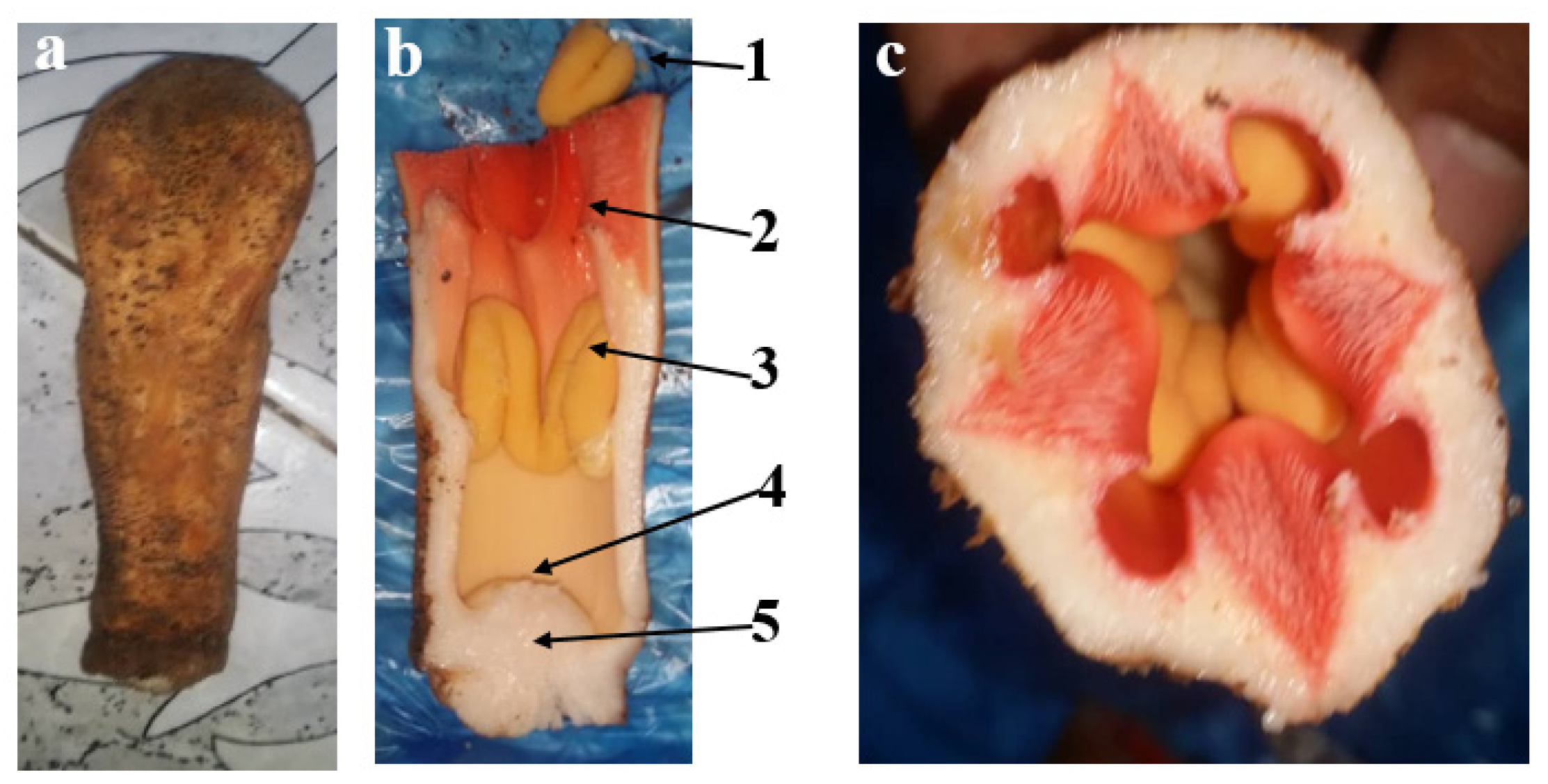 Processes 12 00727 g001