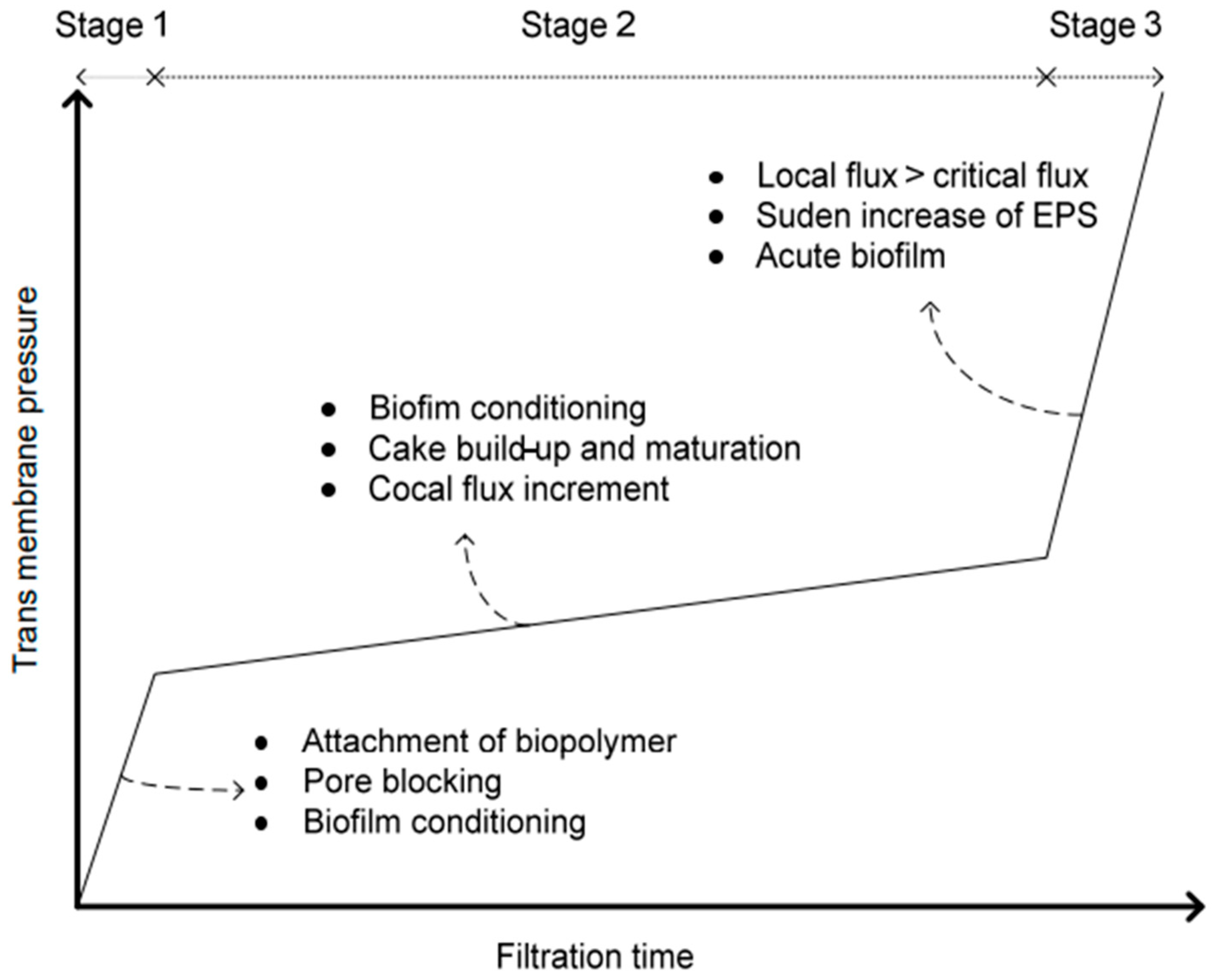 Processes 12 00734 g006