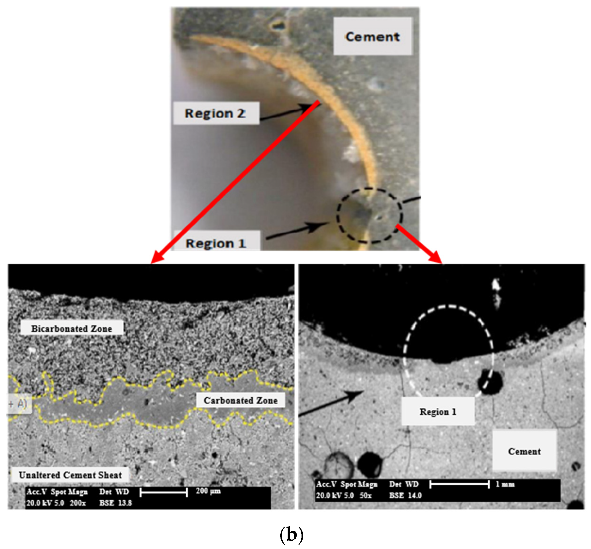 Processes 12 00768 g006b