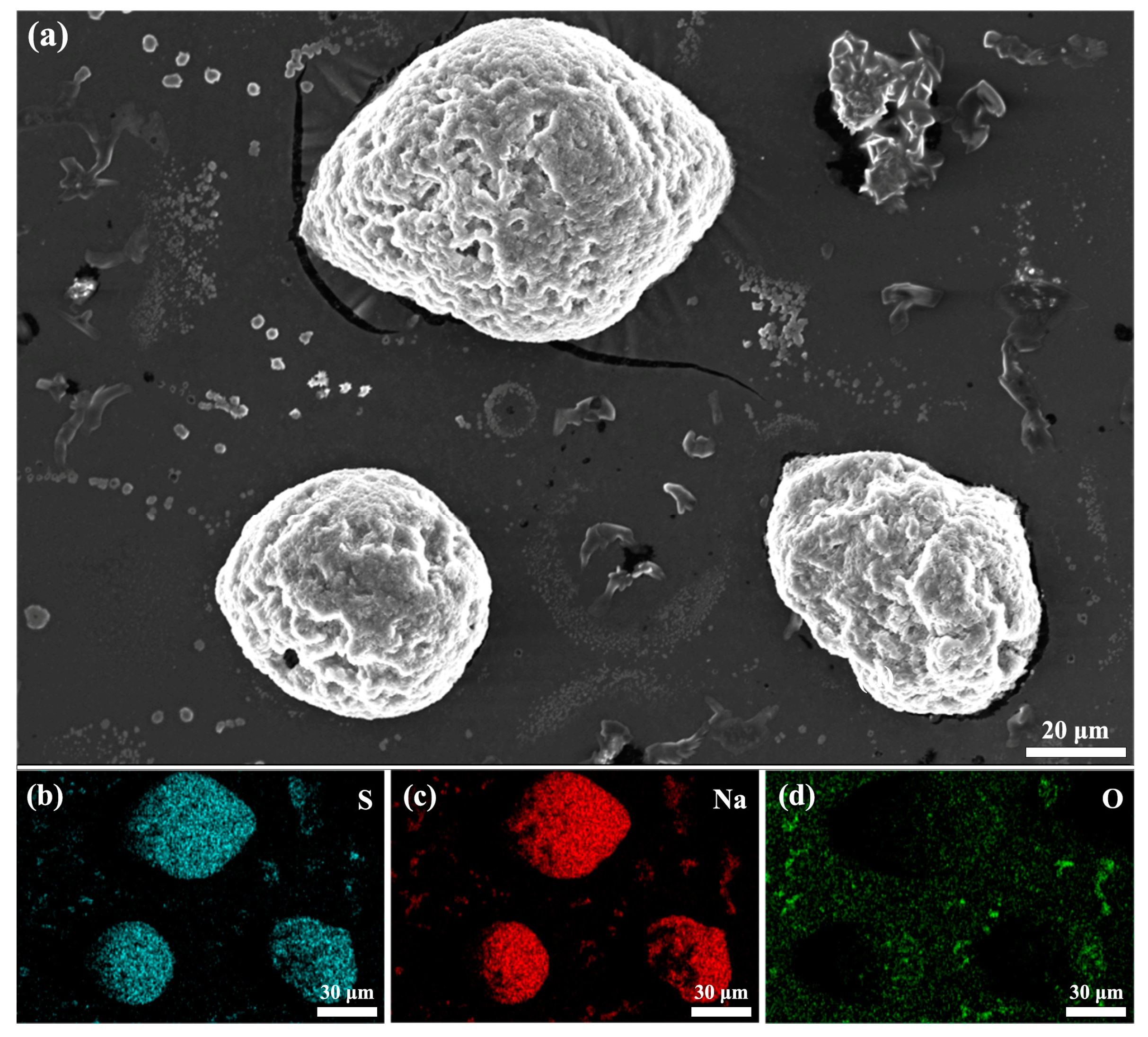 Processes 12 00776 g006