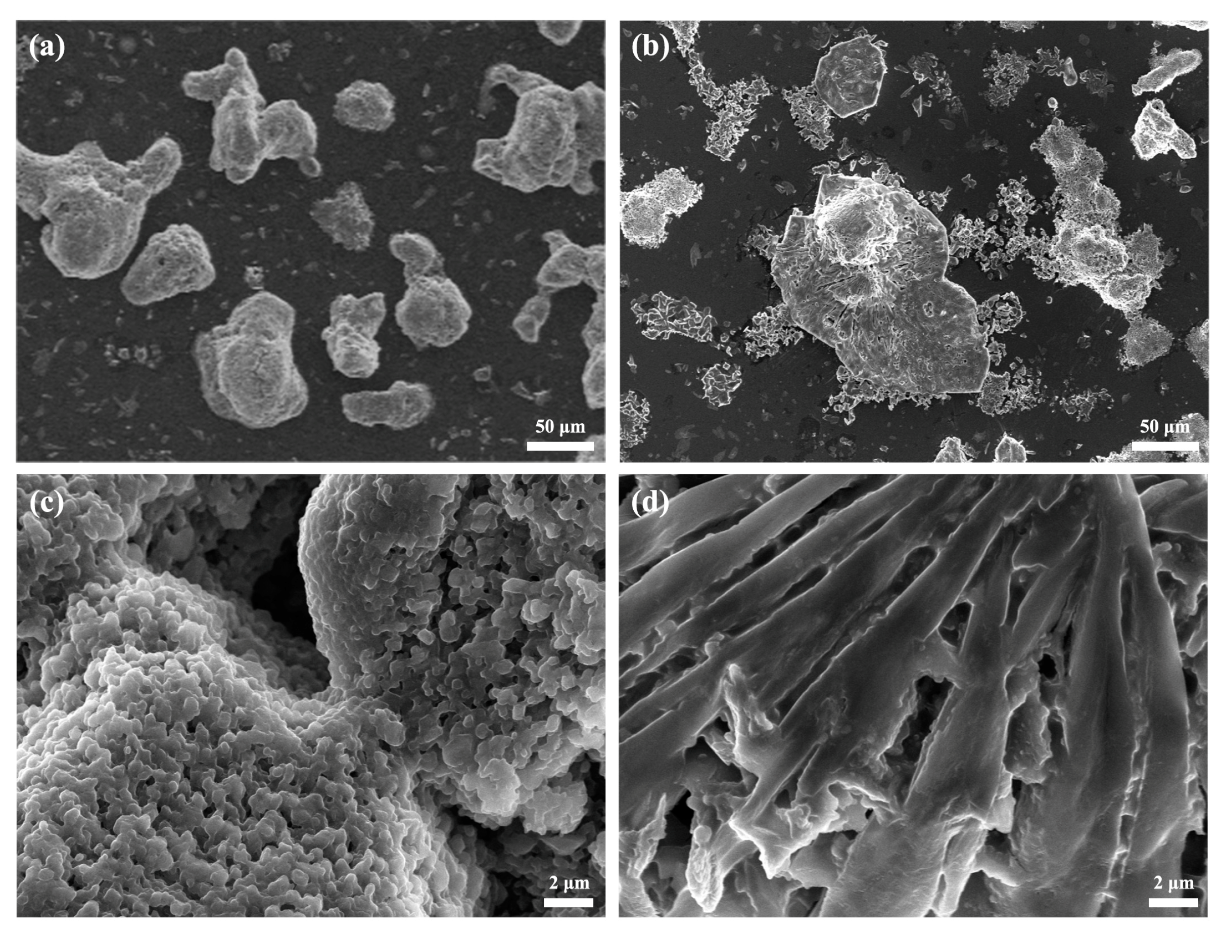 Processes 12 00776 g007