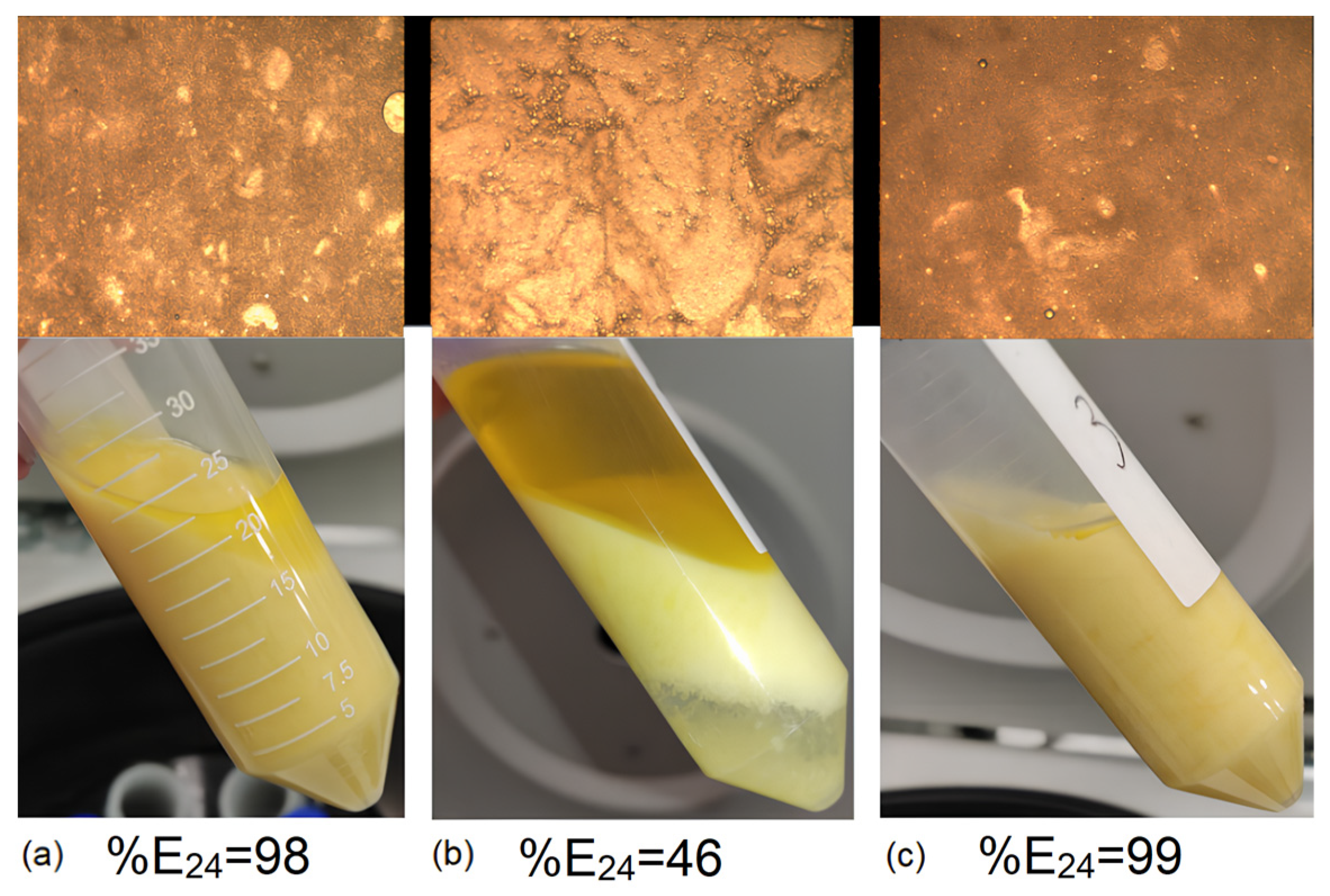 Processes 12 00788 g009 Processes 12 00788 g009