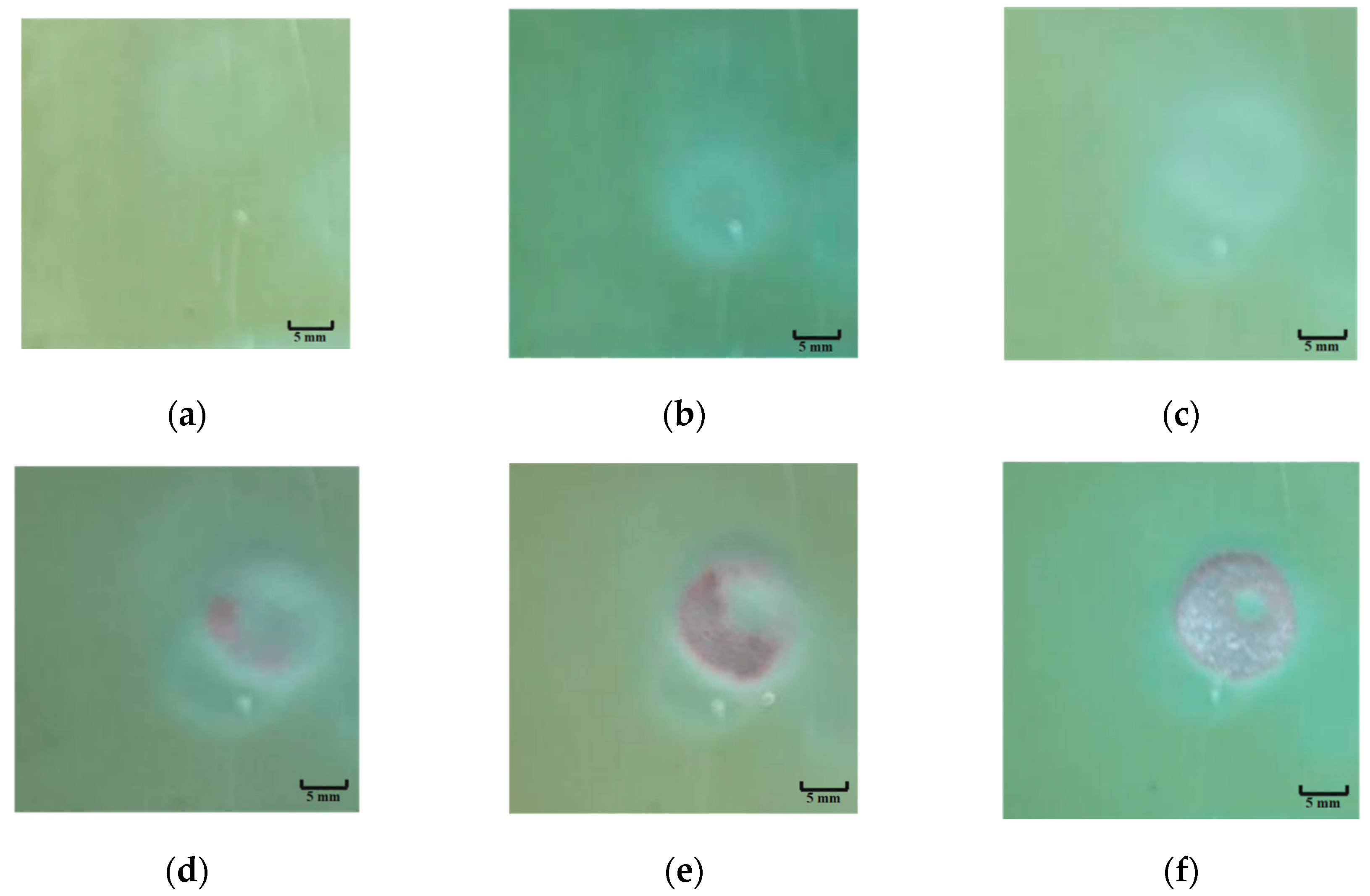 Processes 12 00790 g008