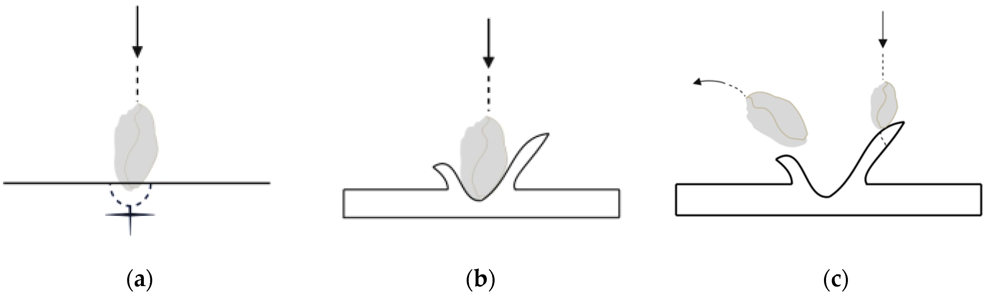Processes 12 00790 g009
