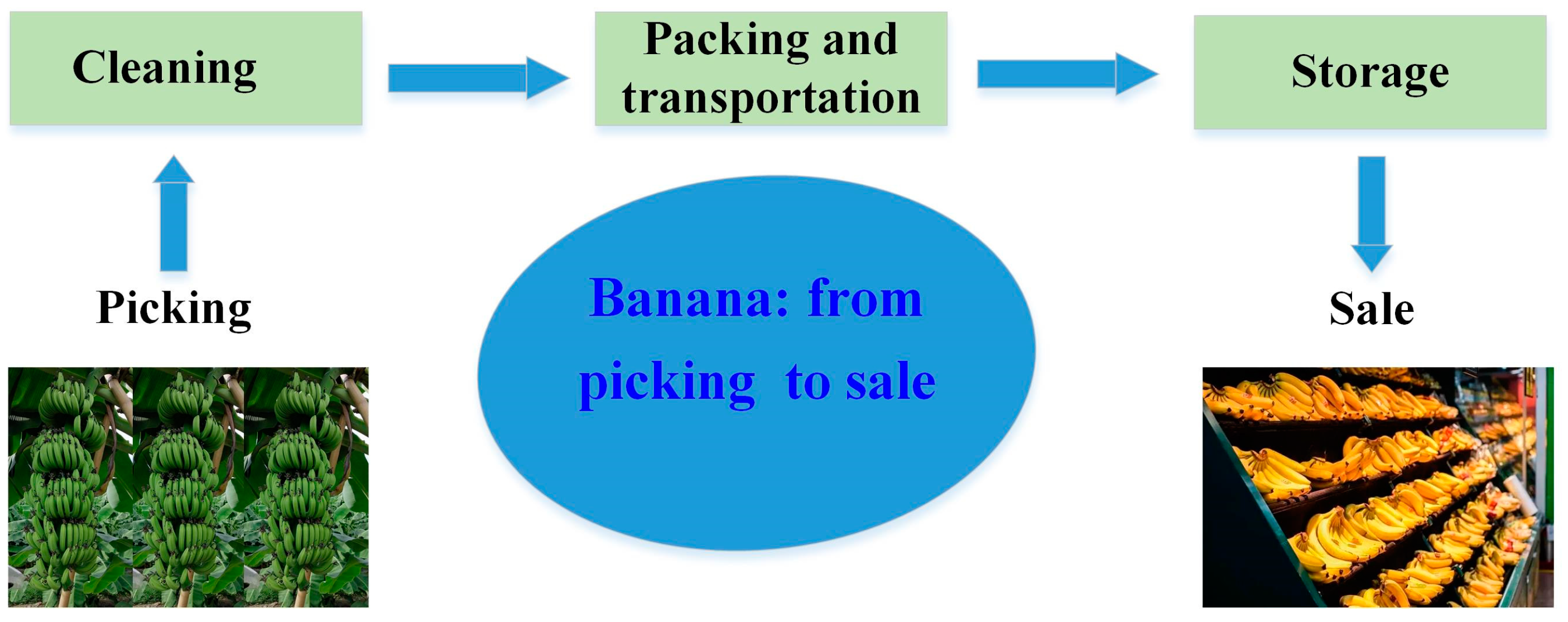Processes 12 00799 g001