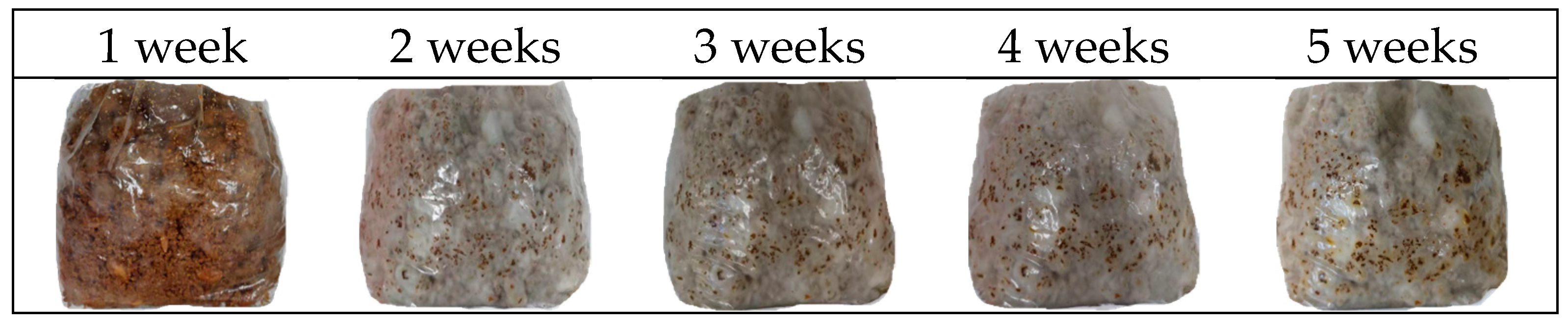 Processes 12 00830 g008