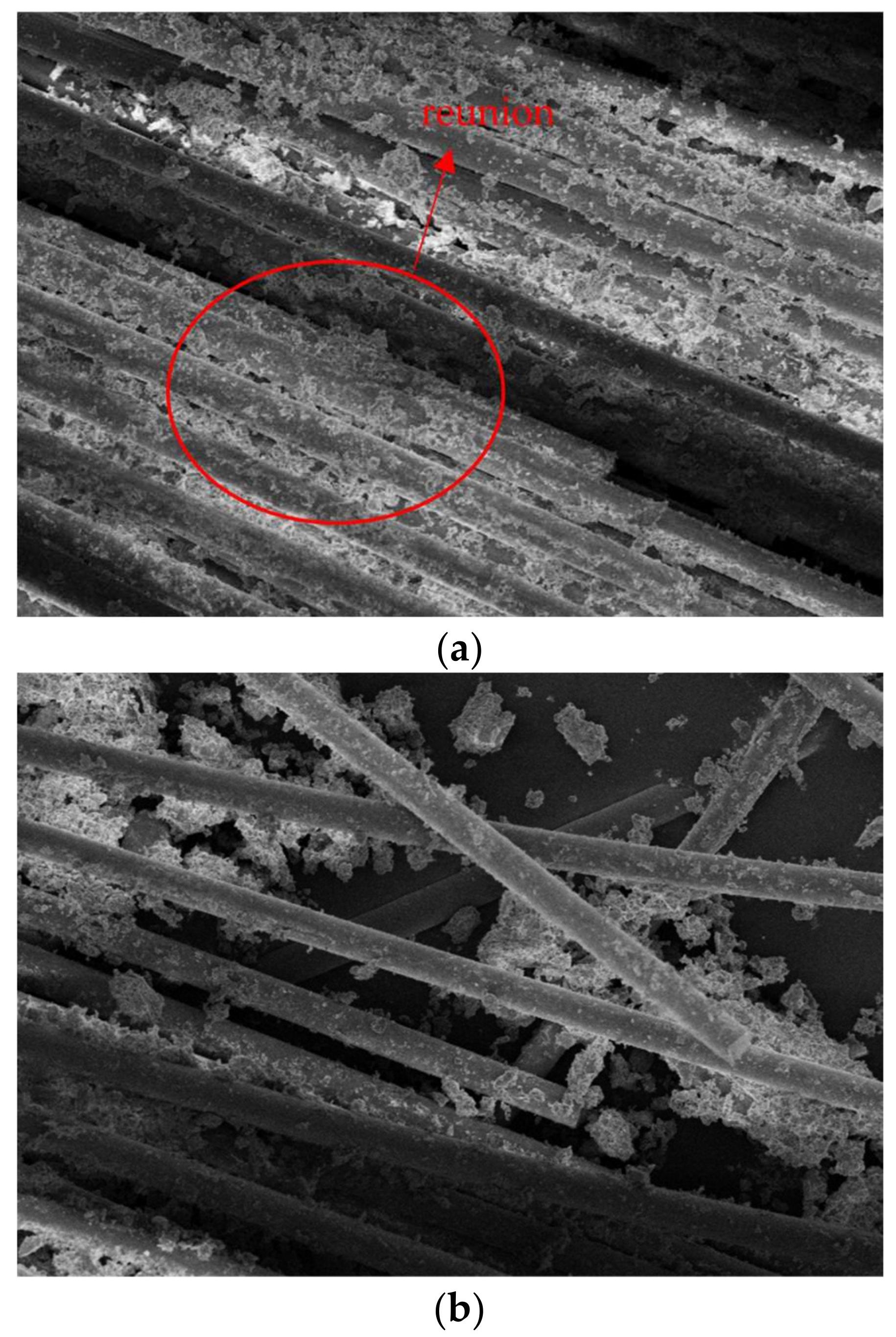Processes 12 00876 g019a