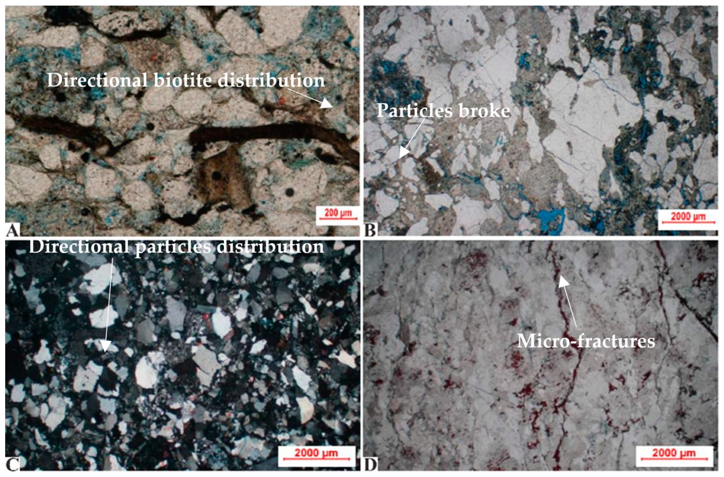 Processes 12 00895 g005