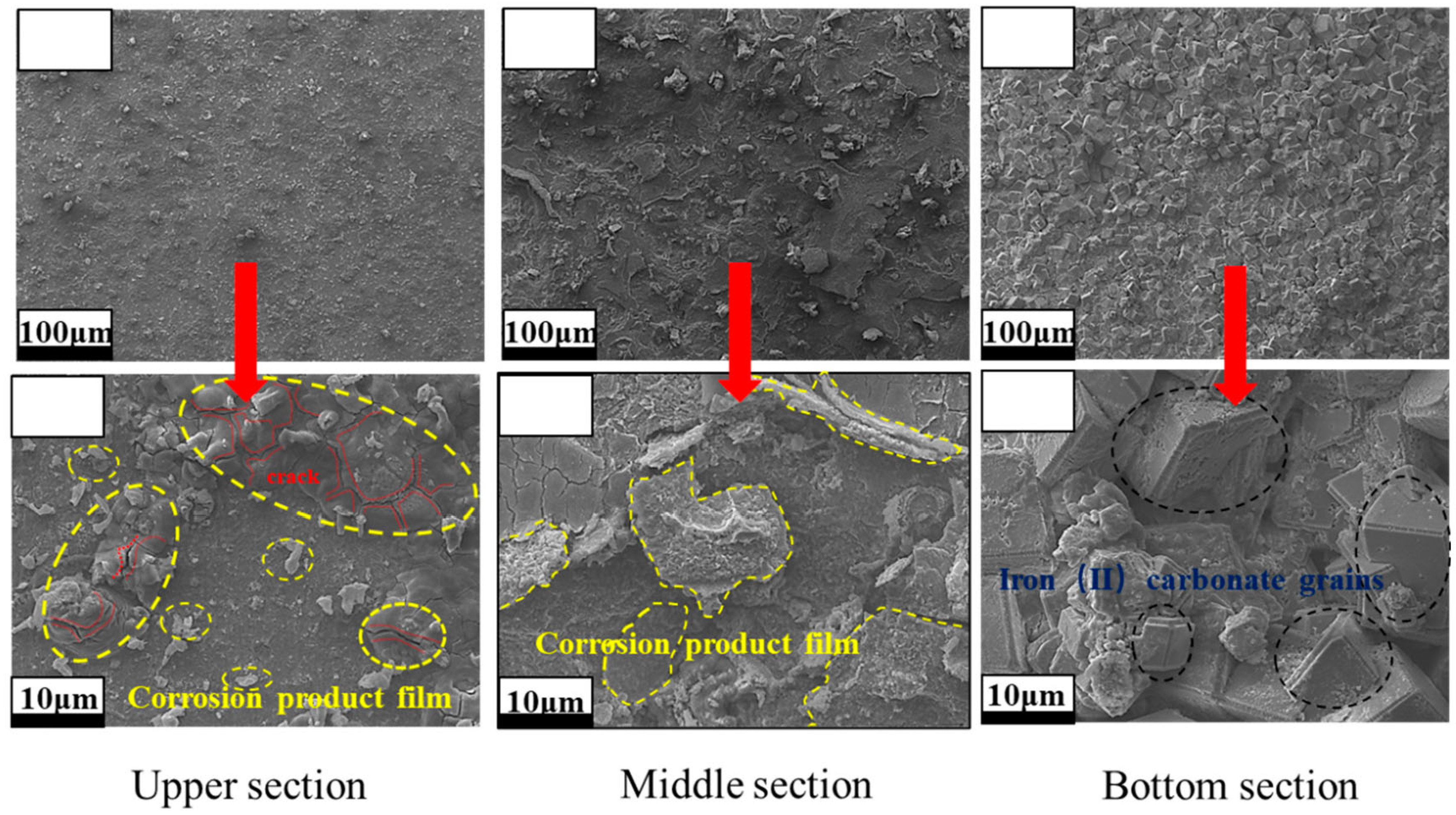 Research on the Multifactor Synergistic Corrosion of N80 and P110 Steel ...