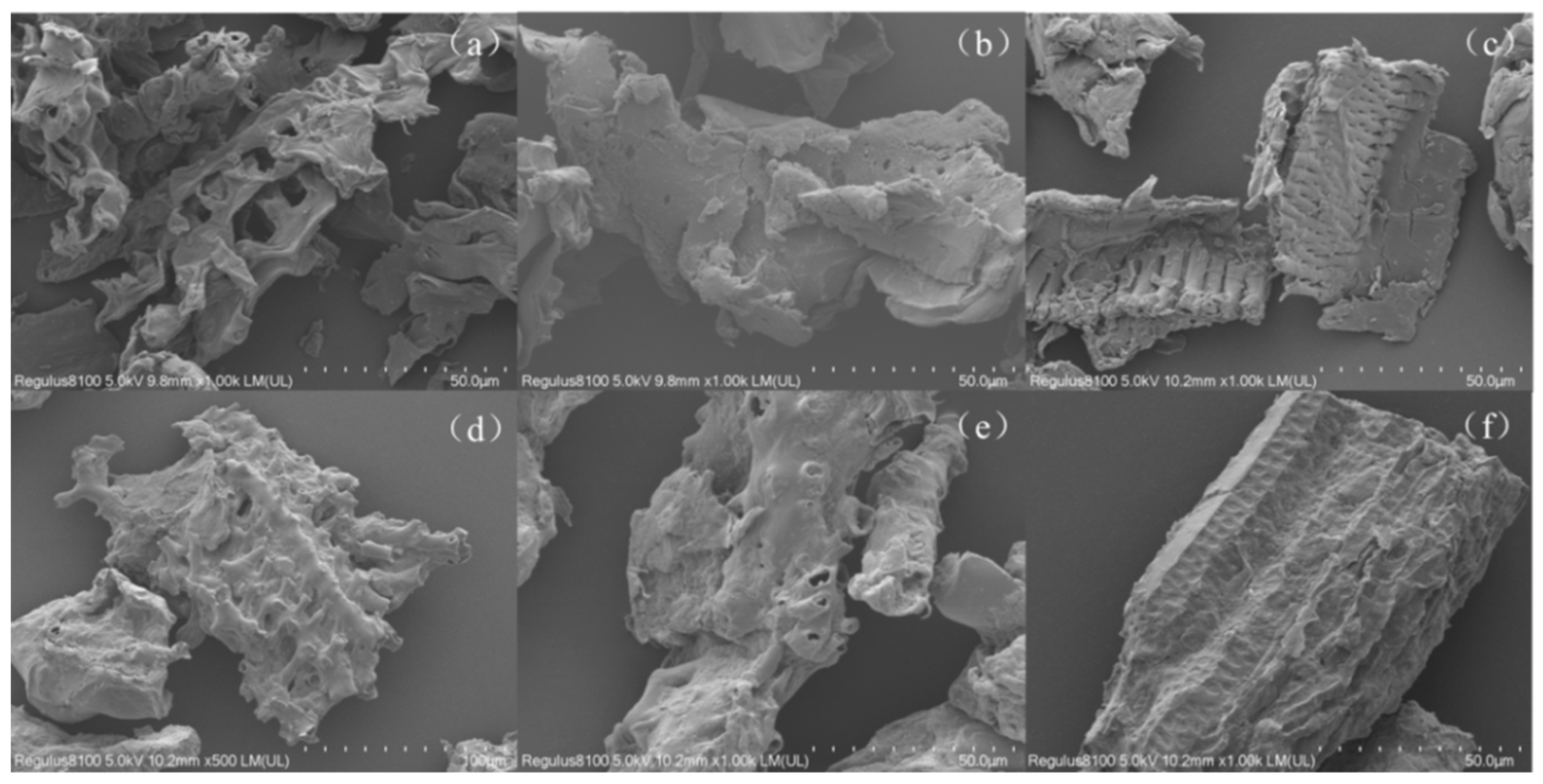 Processes 12 00943 g006