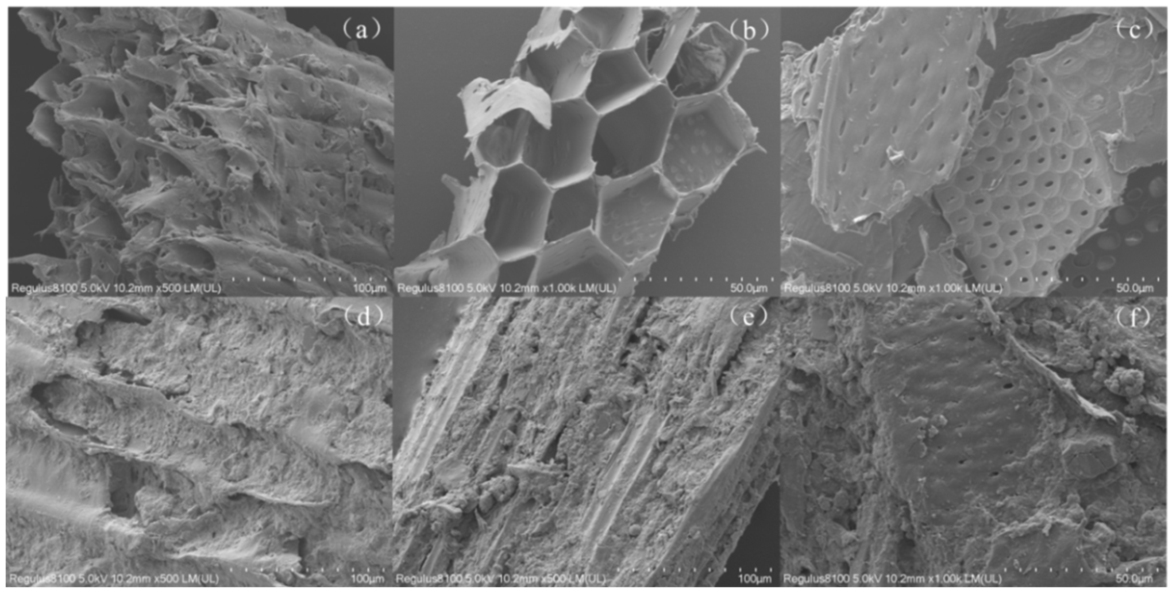 Processes 12 00943 g008