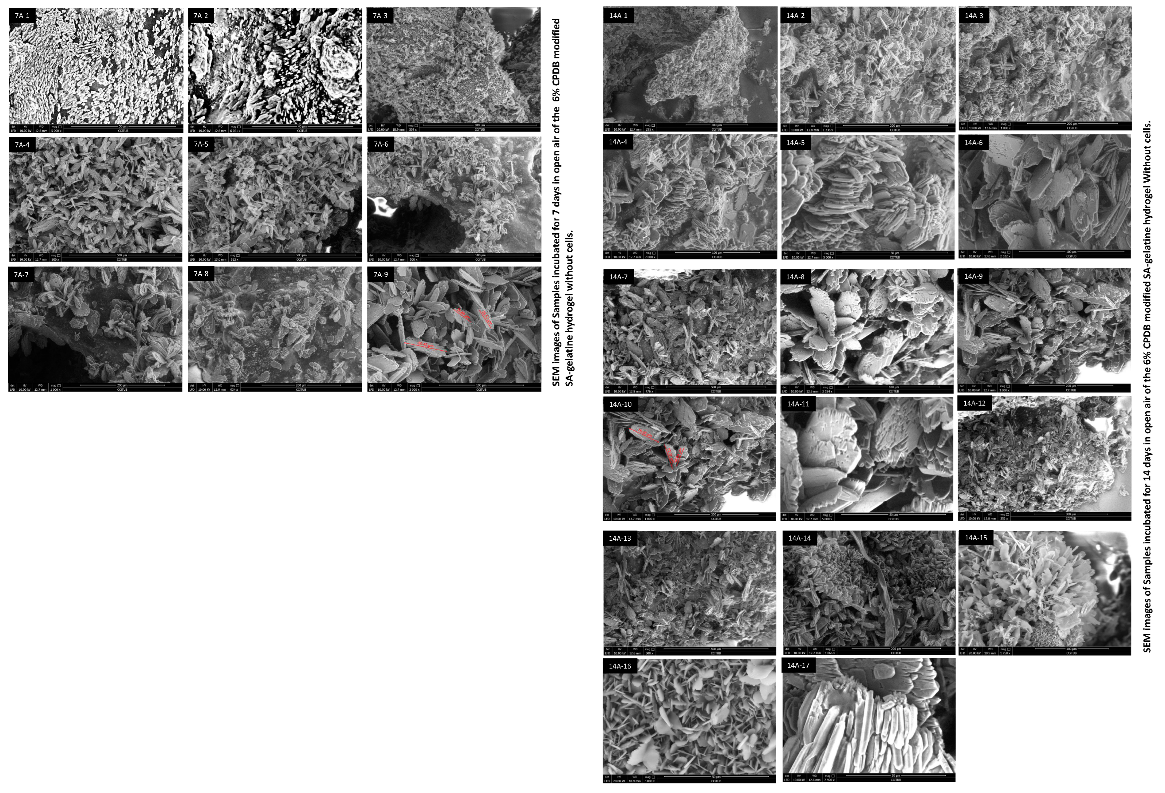 Processes 12 00944 g004
