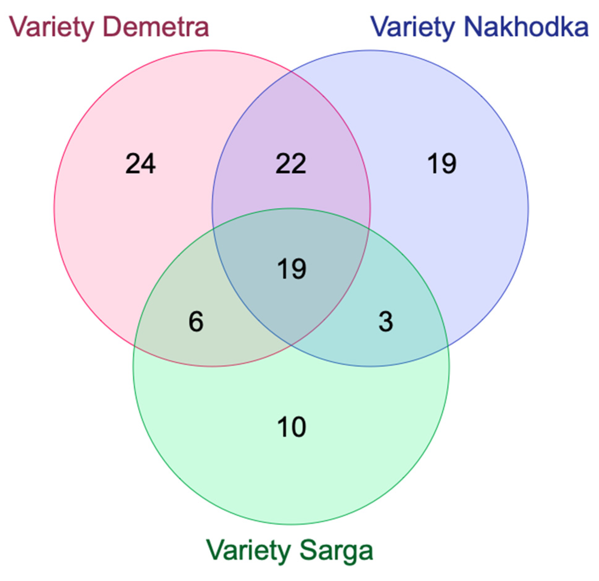Processes 12 01041 g003