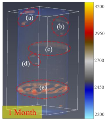 Processes 12 01096 i005