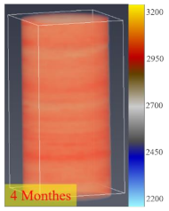 Processes 12 01096 i014
