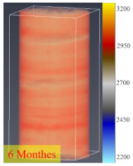 Processes 12 01096 i020
