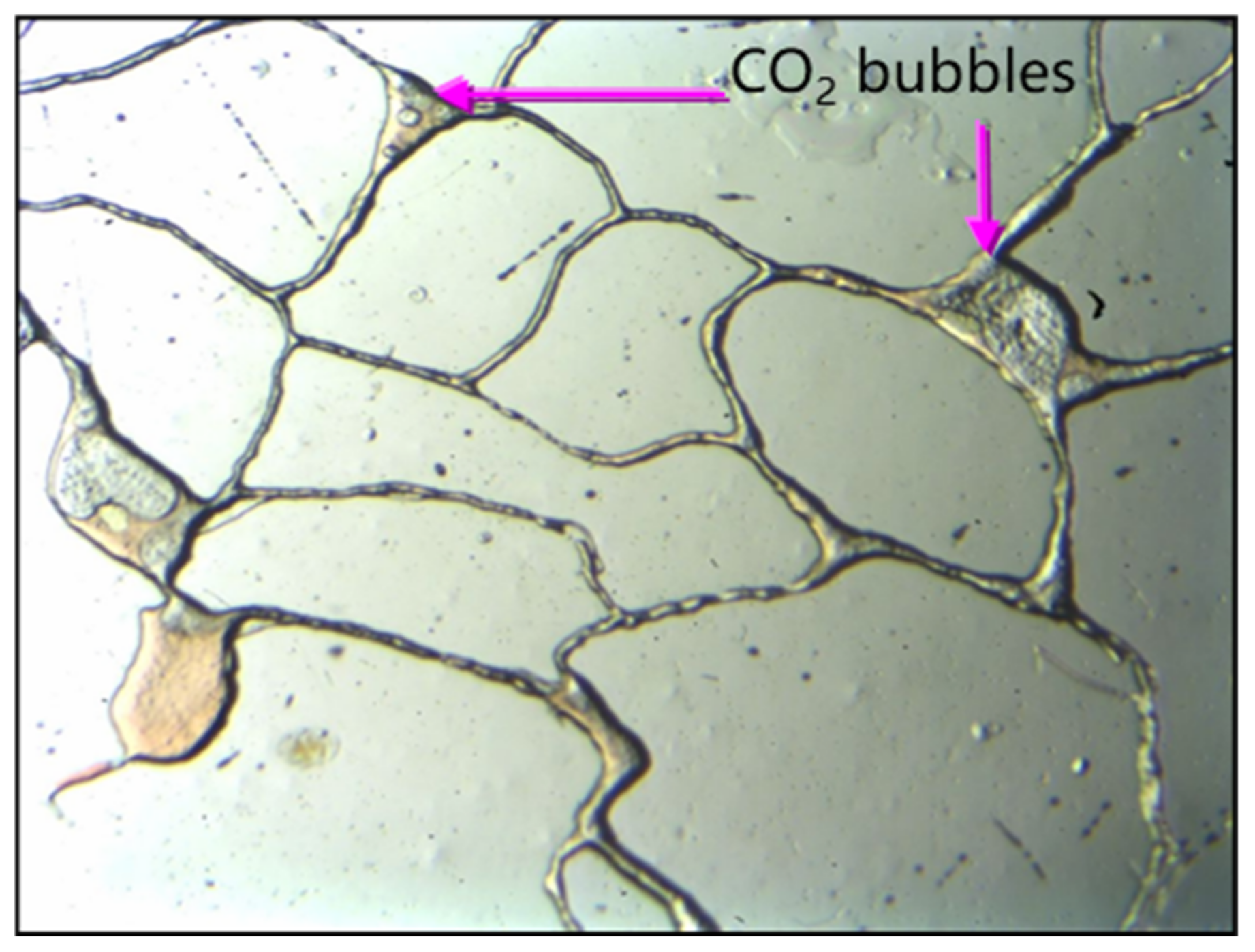 Processes 12 01120 g009