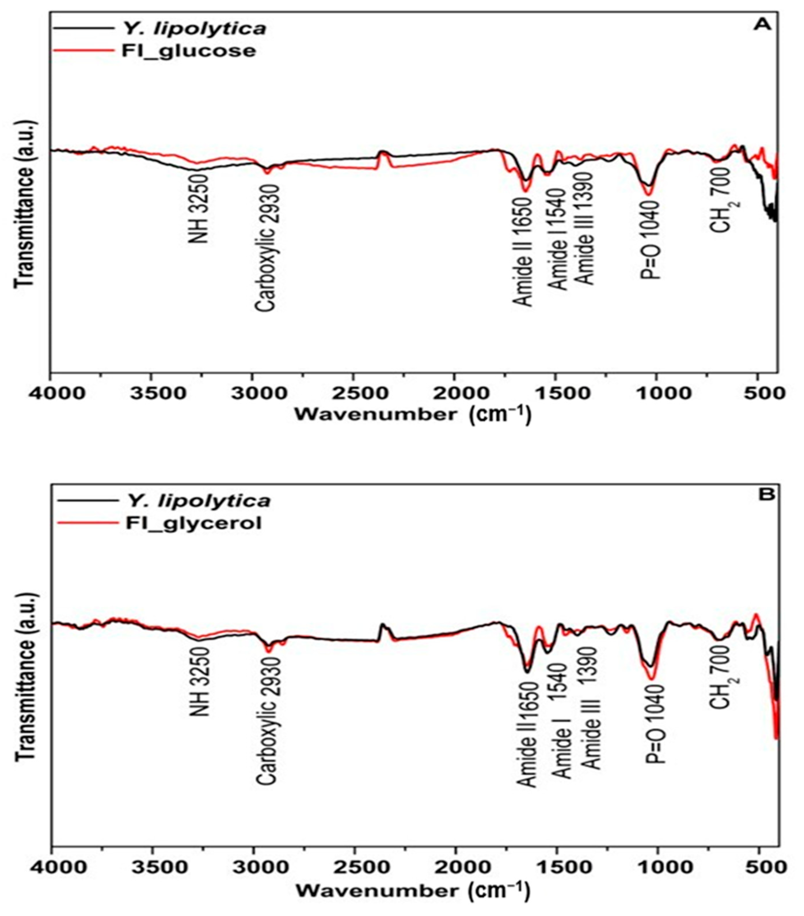 Processes 12 01132 g005